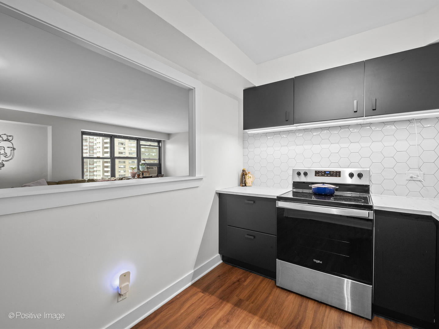 6118 North Sheridan Road, Unit 1003 Chicago, IL 60660 - Photo 8 of 13 a kitchen with a stove and a microwave