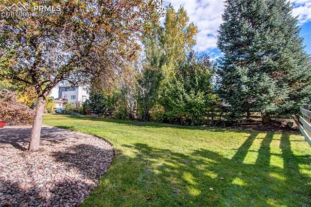 353 Talus Road Monument, CO 80132 - Photo 27 of 30