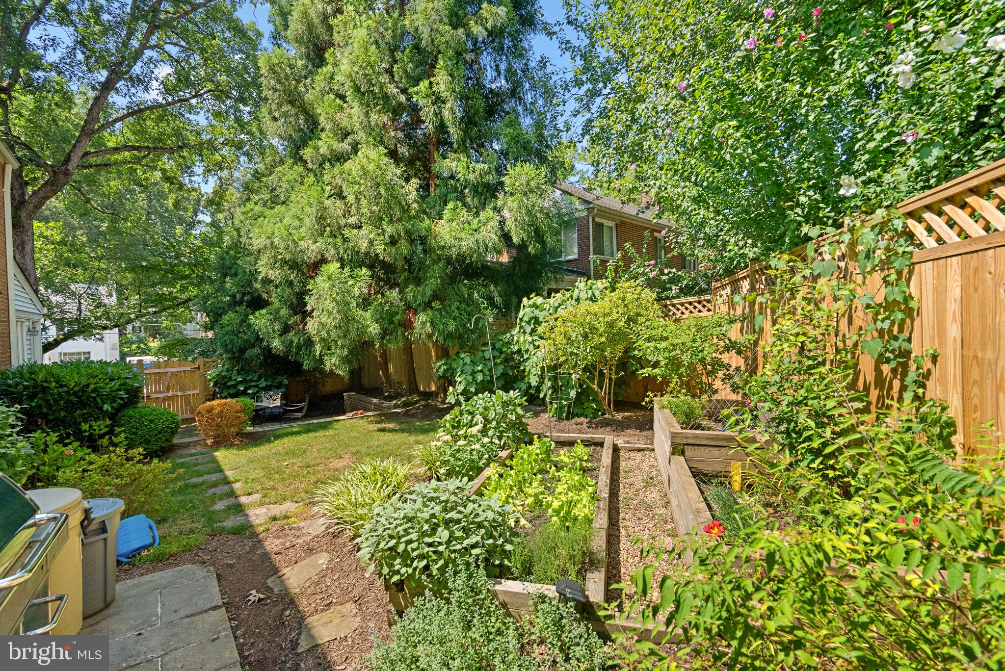 129 Lynnmoor Drive Silver Spring, MD 20901 - Photo 35 of 48 a view of a yard with plants