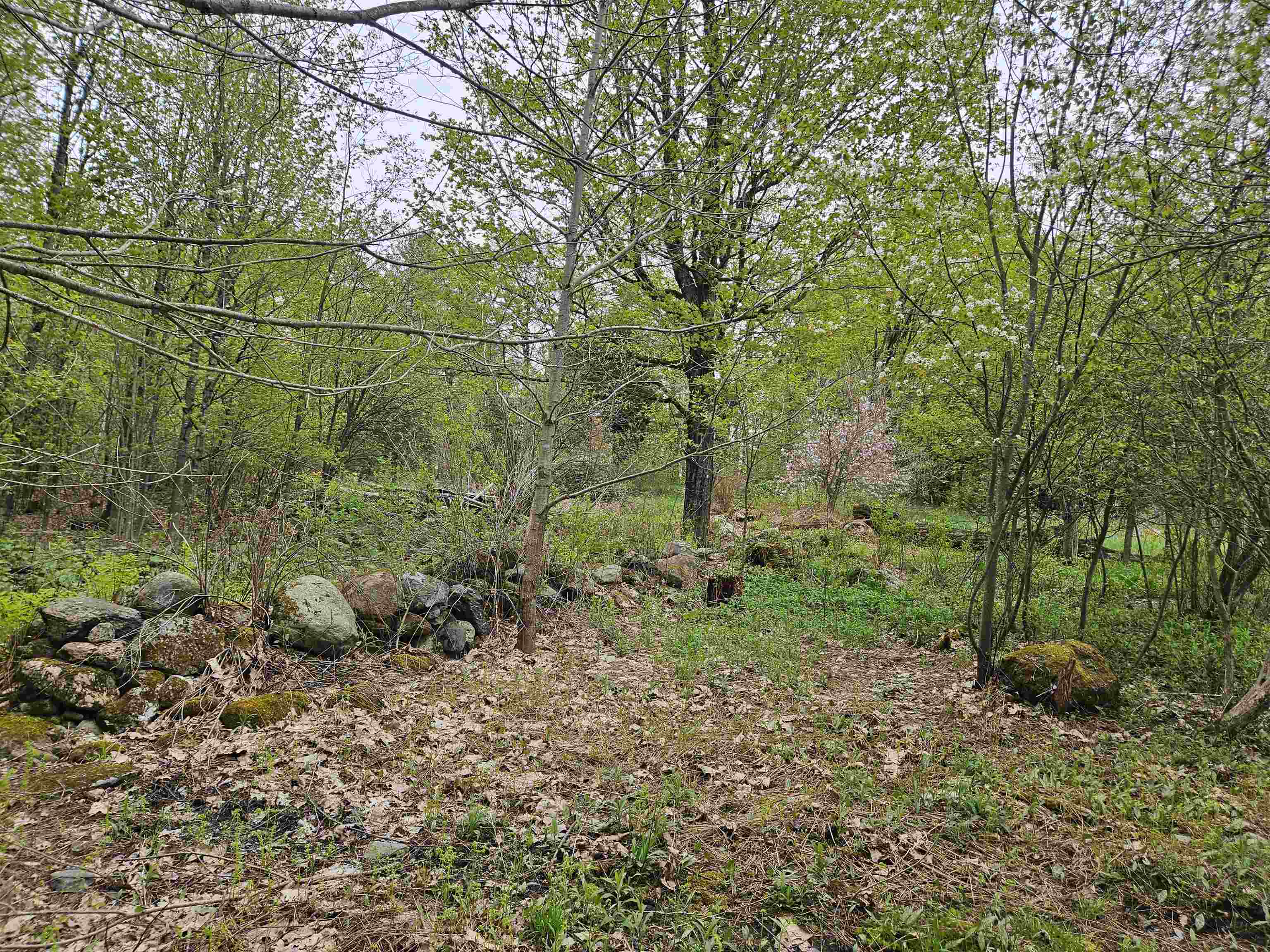 1953 Lapland Road Waterville, VT 05492 - Photo 17 of 33