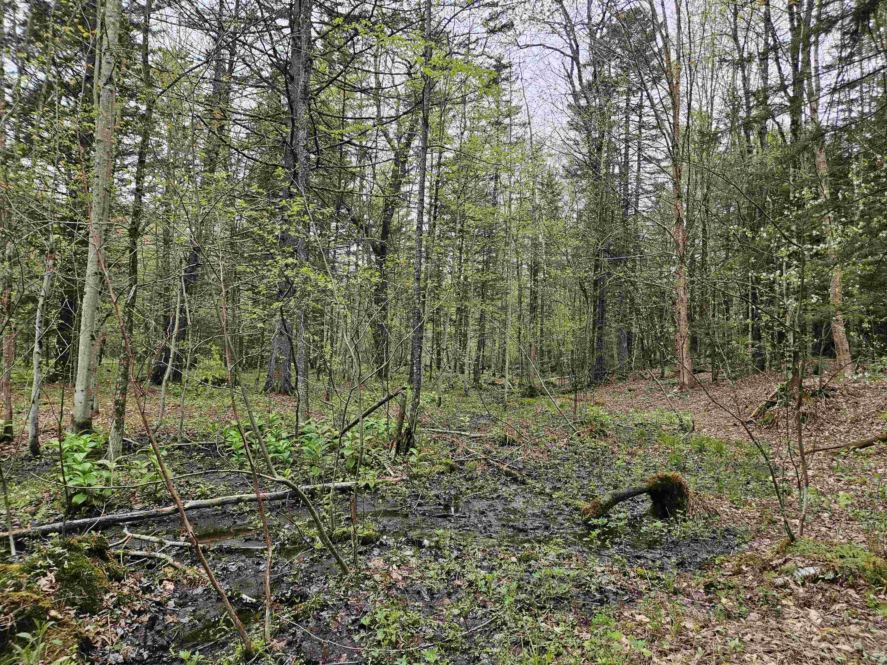 1953 Lapland Road Waterville, VT 05492 - Photo 18 of 33