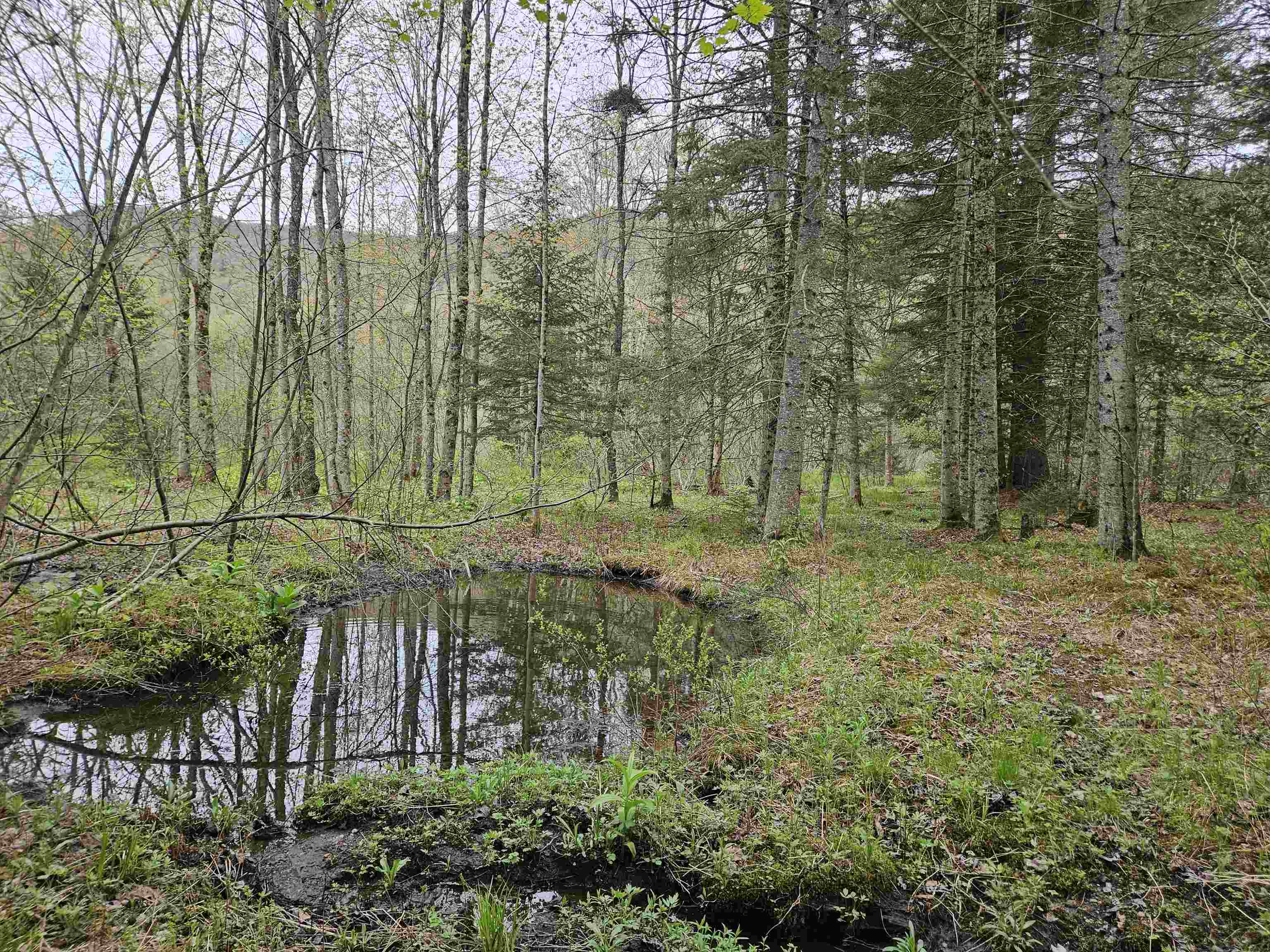 1953 Lapland Road Waterville, VT 05492 - Photo 19 of 33