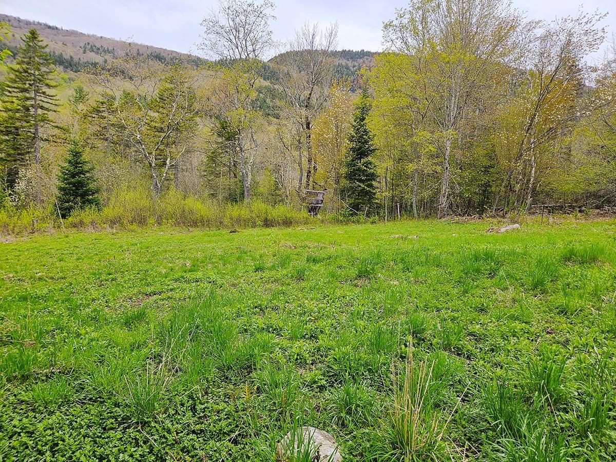 1953 Lapland Road Waterville, VT 05492 - Photo 24 of 33