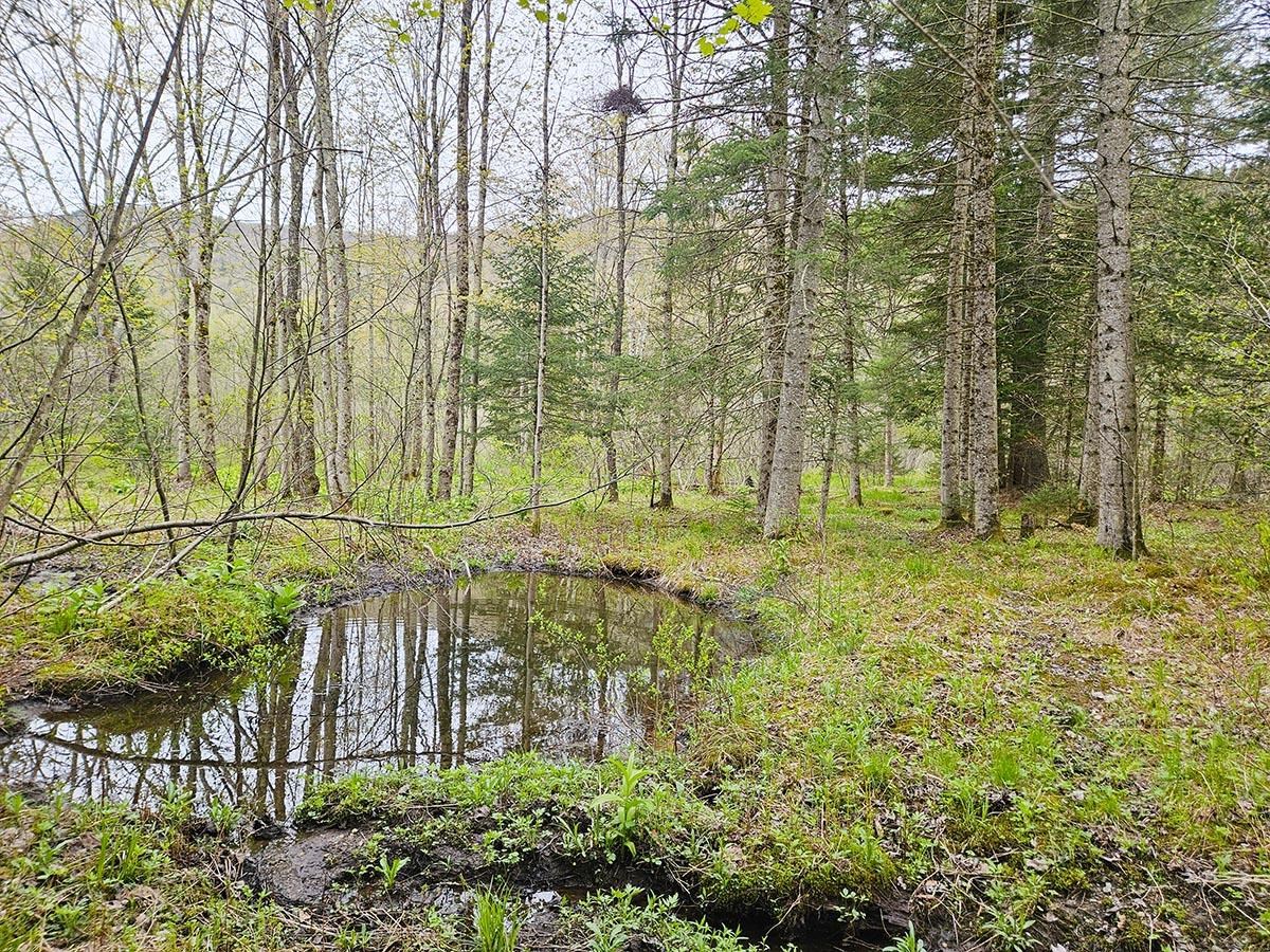 1953 Lapland Road Waterville, VT 05492 - Photo 27 of 33