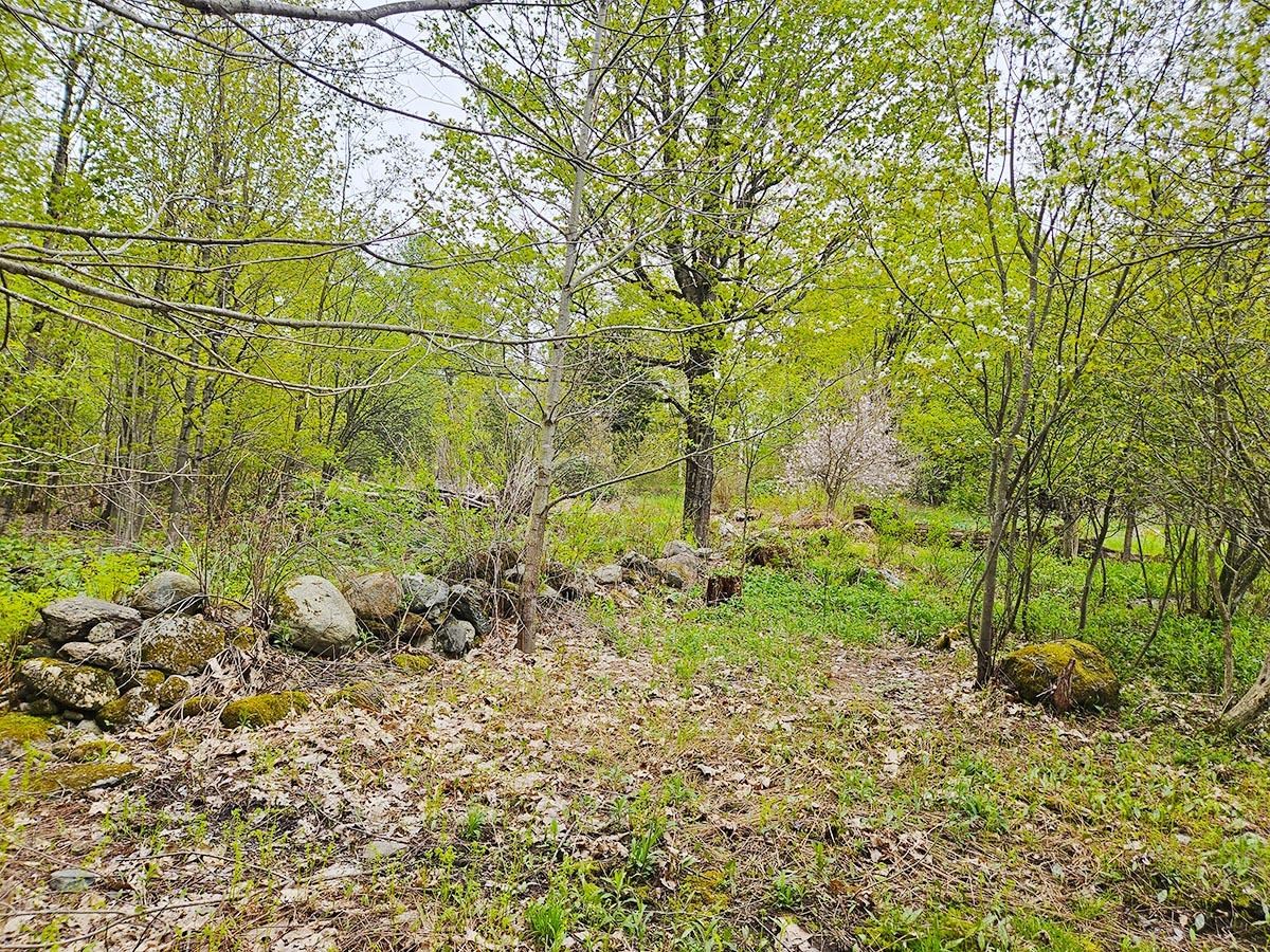 1953 Lapland Road Waterville, VT 05492 - Photo 28 of 33