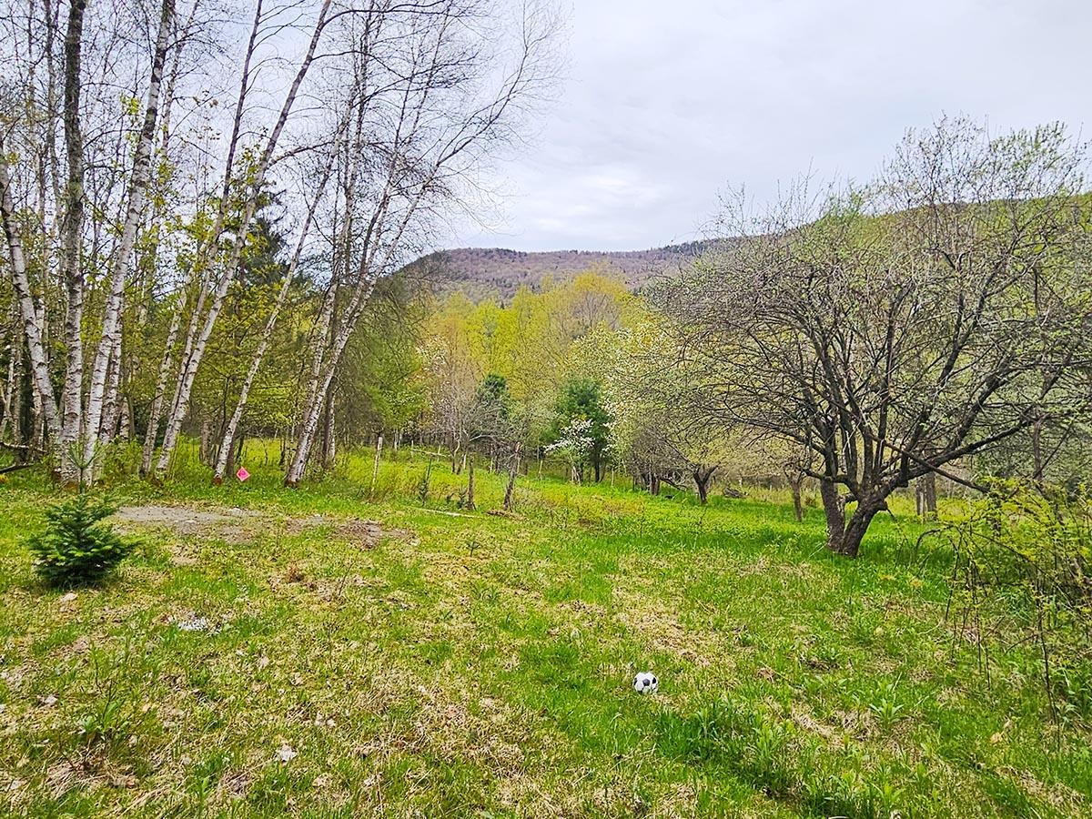 1953 Lapland Road Waterville, VT 05492 - Photo 29 of 33