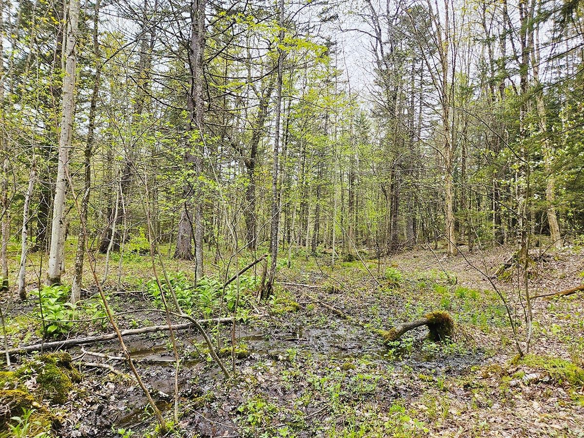 1953 Lapland Road Waterville, VT 05492 - Photo 31 of 33