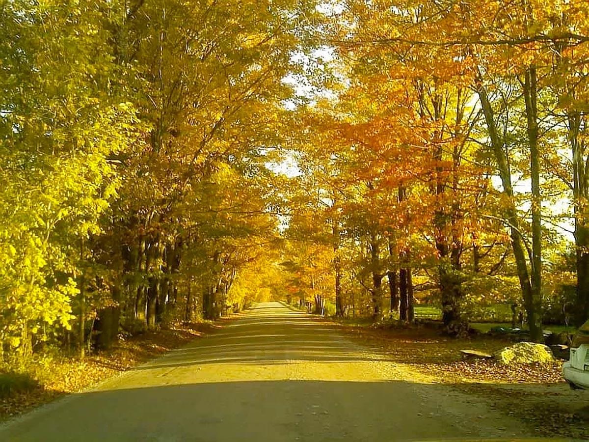 1953 Lapland Road Waterville, VT 05492 - Photo 32 of 33