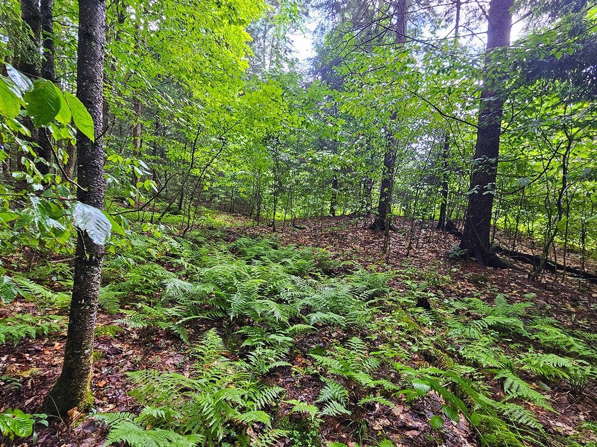 1953 Lapland Road Waterville, VT 05492 - Photo 10 of 33