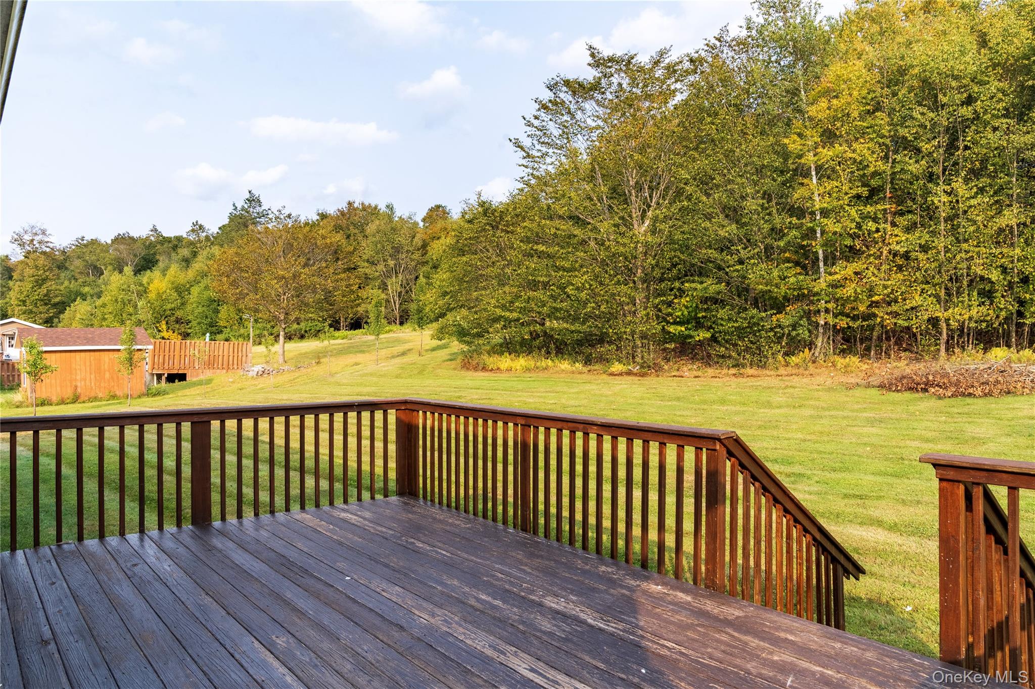 376 Wade Road Liberty, NY 12754 - Photo 25 of 26 Deck with a yard