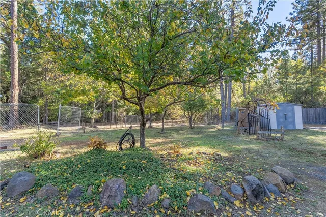 a view of outdoor space and trees