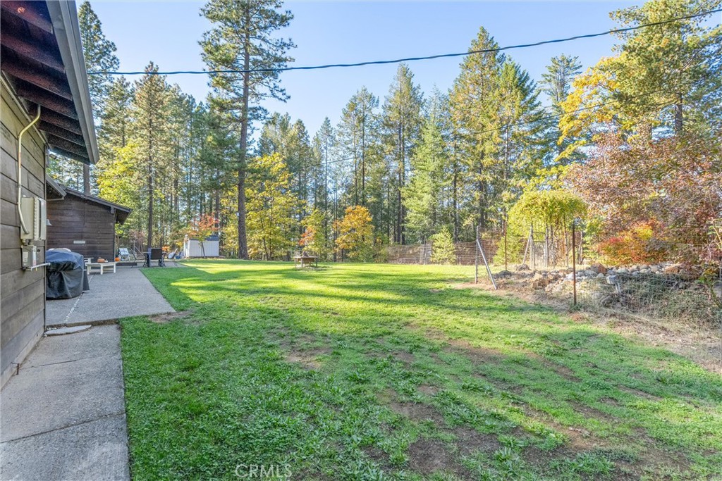 16298 Forest Ranch Road Forest Ranch, CA 95942 - Photo 60 of 67 a view of a yard with plants and a bench