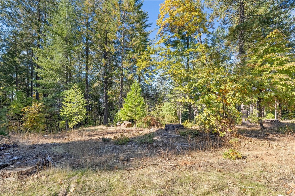 16298 Forest Ranch Road Forest Ranch, CA 95942 - Photo 62 of 67 a view of outdoor space and trees