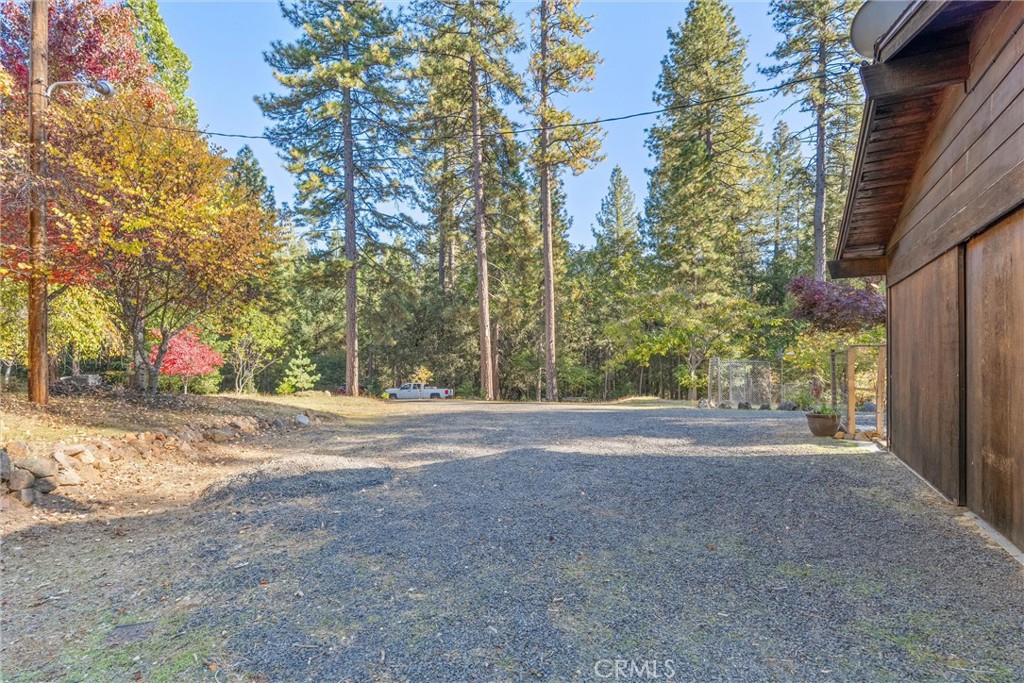 16298 Forest Ranch Road Forest Ranch, CA 95942 - Photo 63 of 67 a view of a yard with large trees