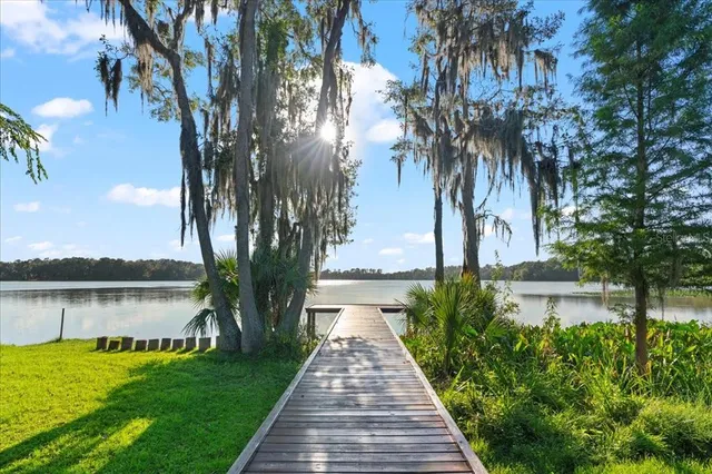 a view of a patio next to a yard with large trees
