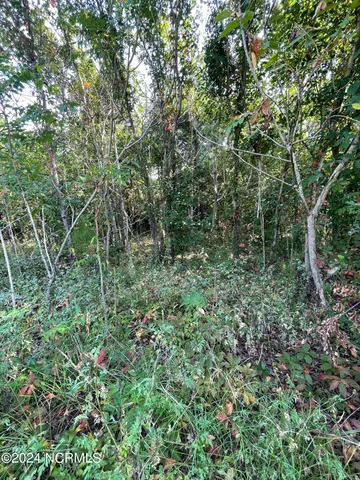 $9,000 | 101 Kickapoo Trail, Edenton, NC 27932