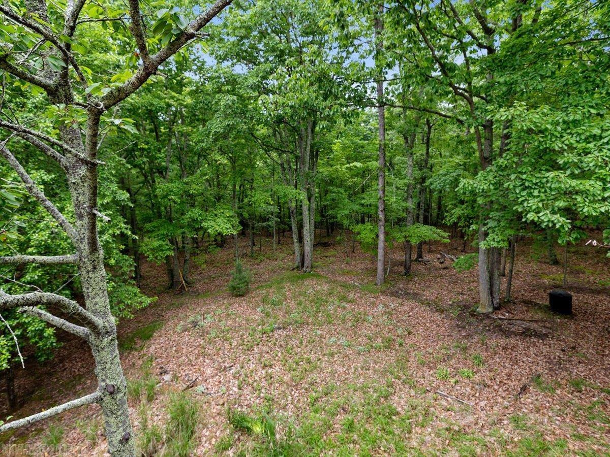 4227 Pearman Road Blacksburg, VA 24060 - Photo 41 of 44 Gallery Image 41