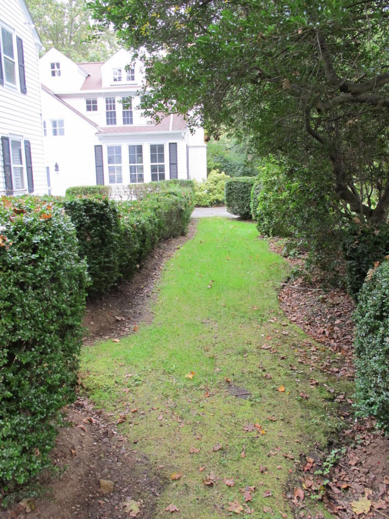 280 Rosebrook Road New Canaan, CT 06840 - Photo 5 of 12 a view of backyard of house