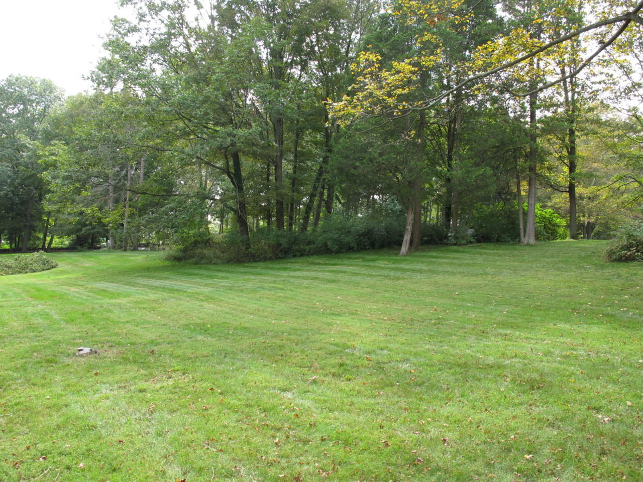 280 Rosebrook Road New Canaan, CT 06840 - Photo 7 of 12 a grassy field with trees in the background