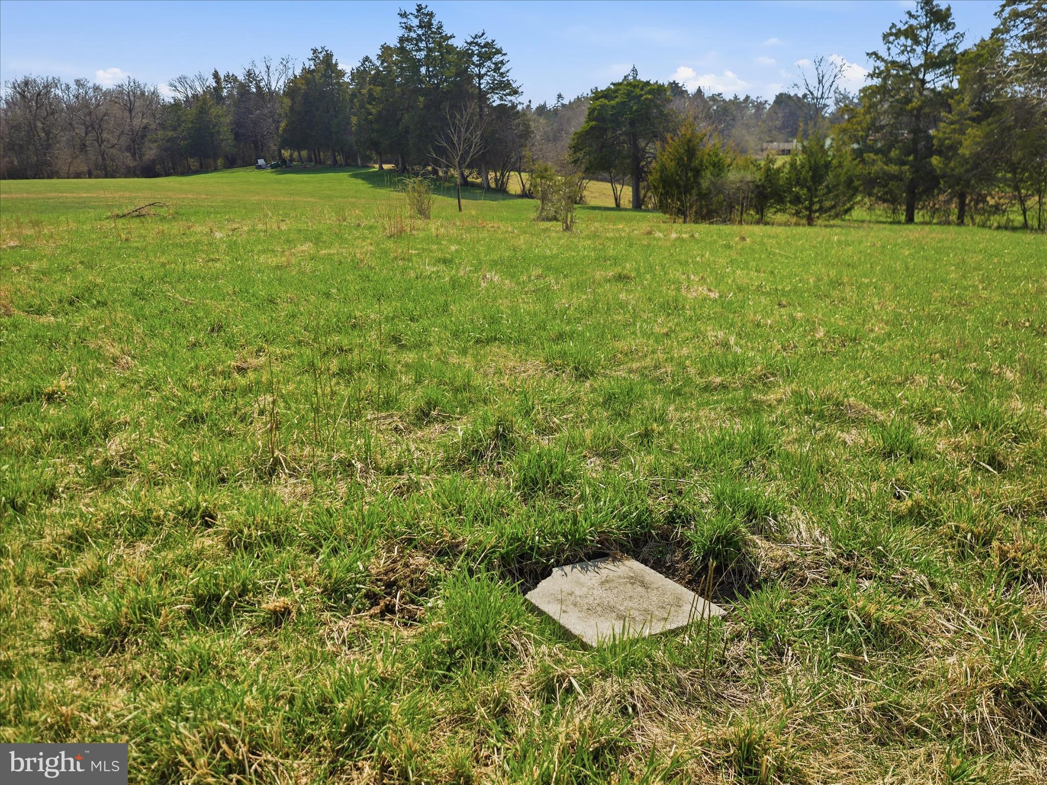 10593 Letzburg Road Greencastle, PA 17225 - Photo 20 of 21 a view of an outdoor space and a yard