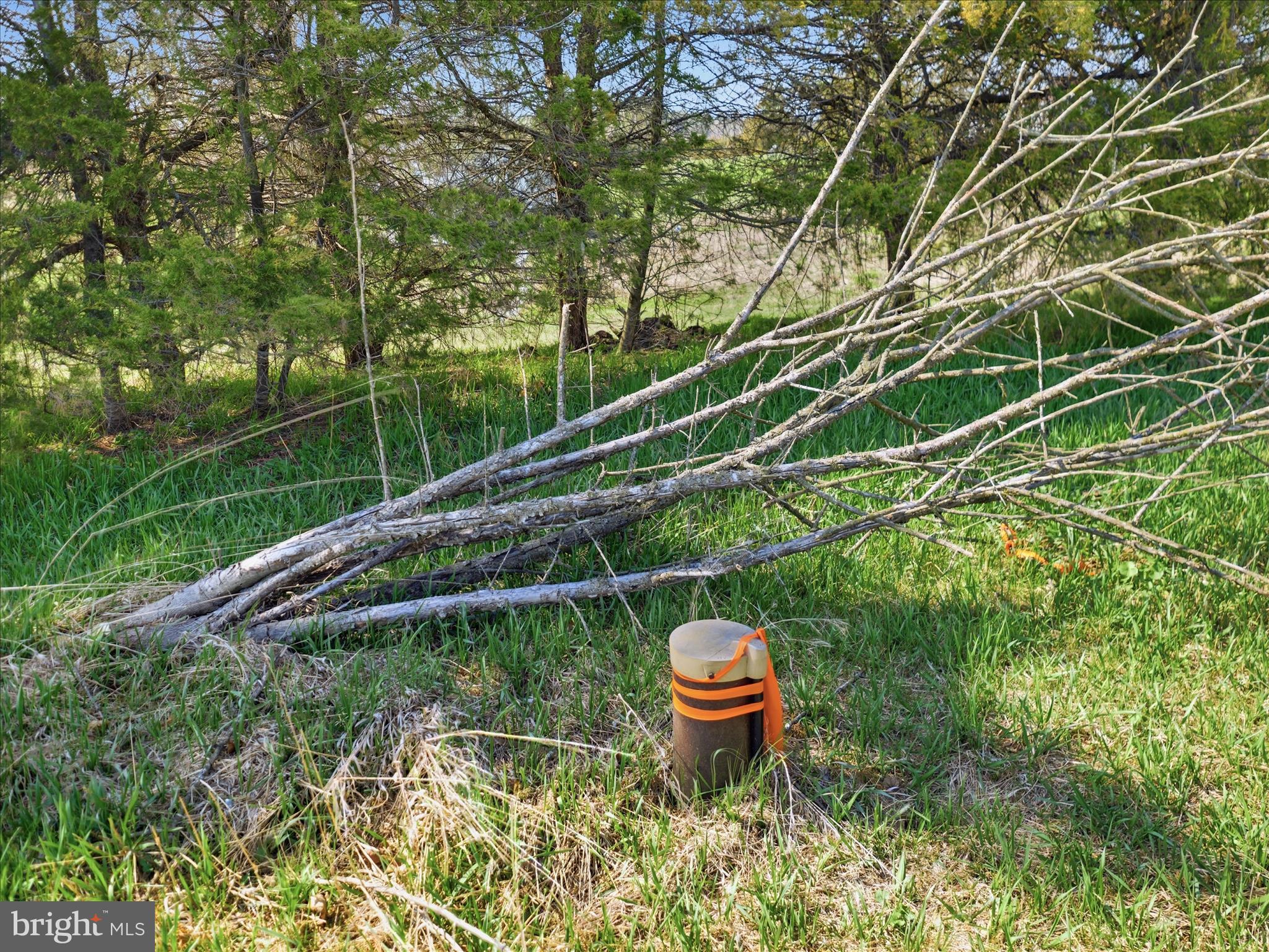 10593 Letzburg Road Greencastle, PA 17225 - Photo 21 of 21 a view of outdoor space and yard