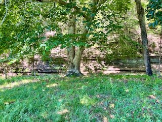 110 Wade Reed Road White Bluff, TN 37187 - Photo 67 of 80