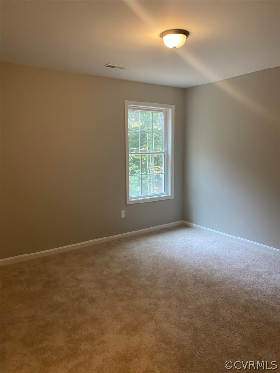 487 Red Pine Road Ruther Glen, VA 22546 - Photo 20 of 31 Gallery Image 20