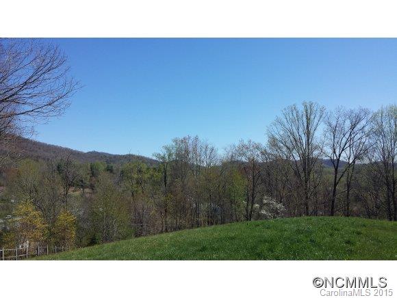 0 Ecusta View Brevard, NC 28712 - Photo 2 of 11