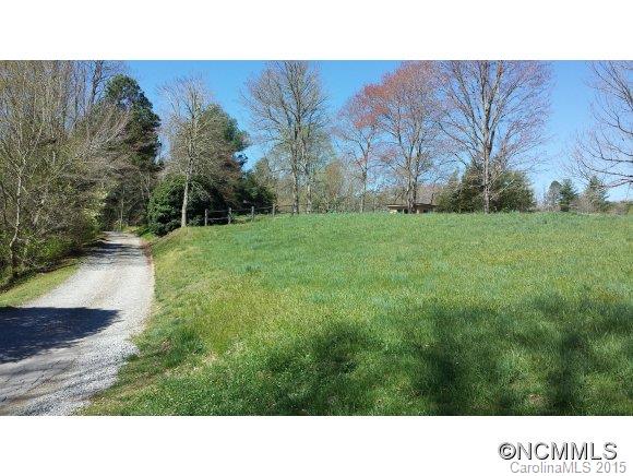 0 Ecusta View Brevard, NC 28712 - Photo 3 of 11