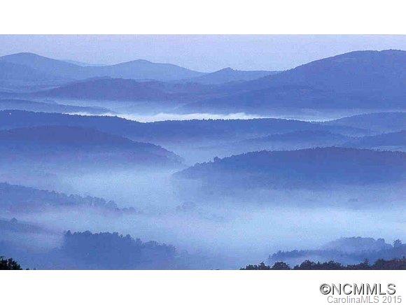 0 Ecusta View Brevard, NC 28712 - Photo 4 of 11