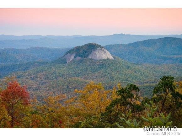 0 Ecusta View Brevard, NC 28712 - Photo 6 of 11