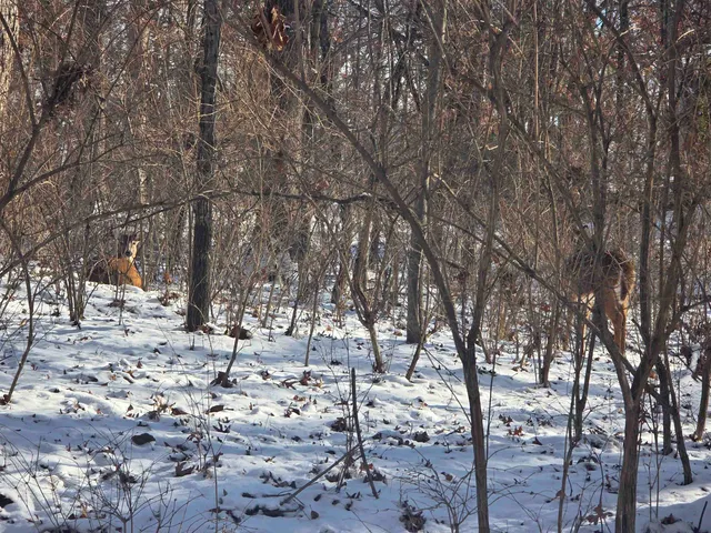 $10,000 | 110 W Fork, Dixon, IL 61021