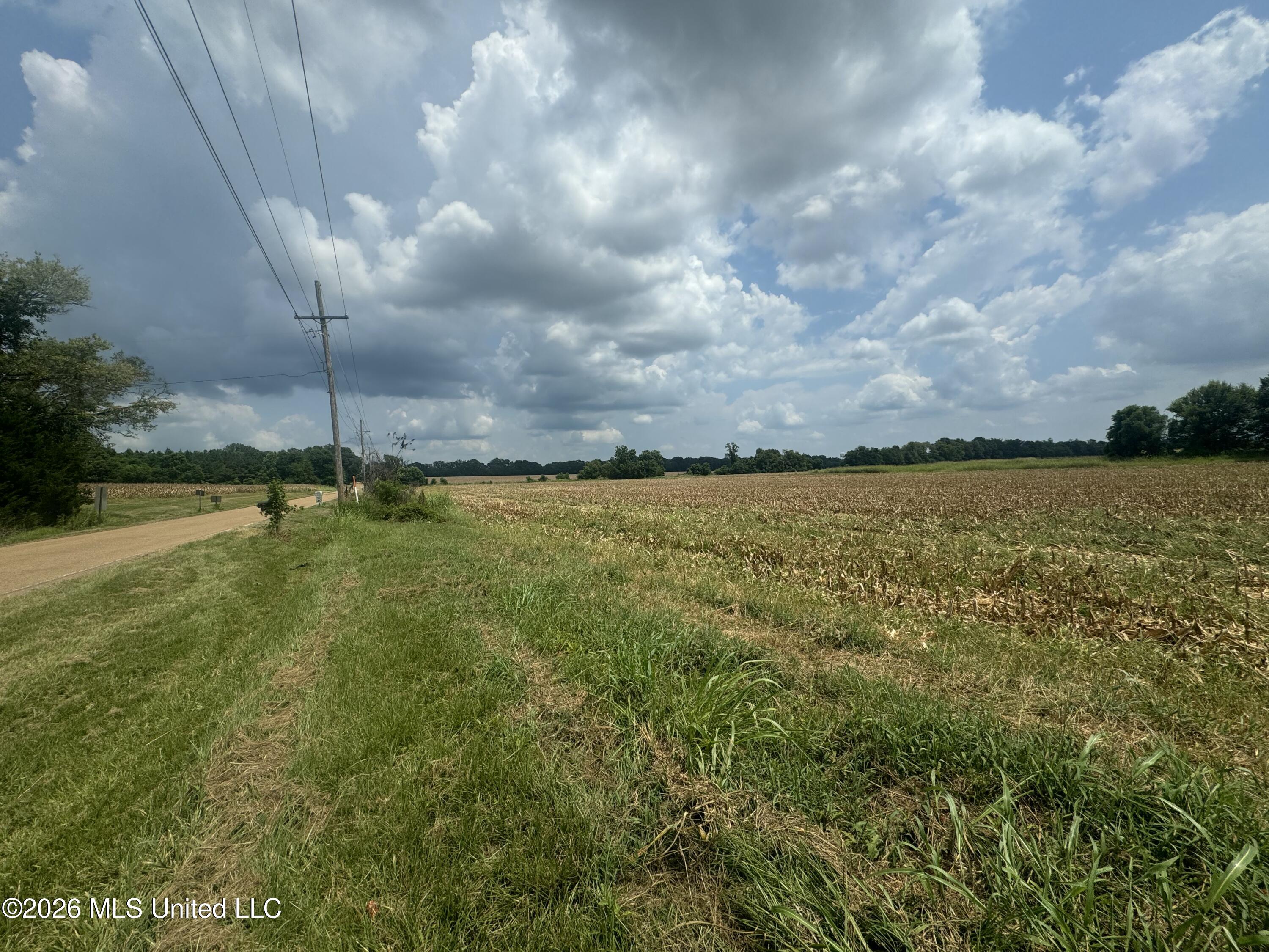 Finney Road Canton, MS 39046 - Photo 3 of 10 IMG_2465