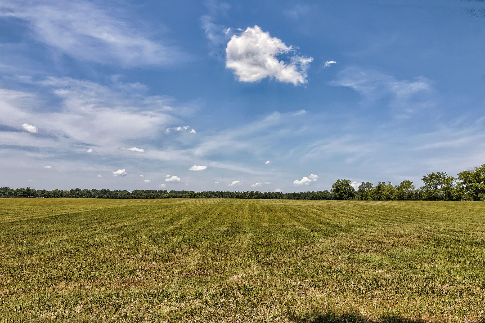 Tbd Wagener Road Aiken, SC 29805 - Photo 13 of 15