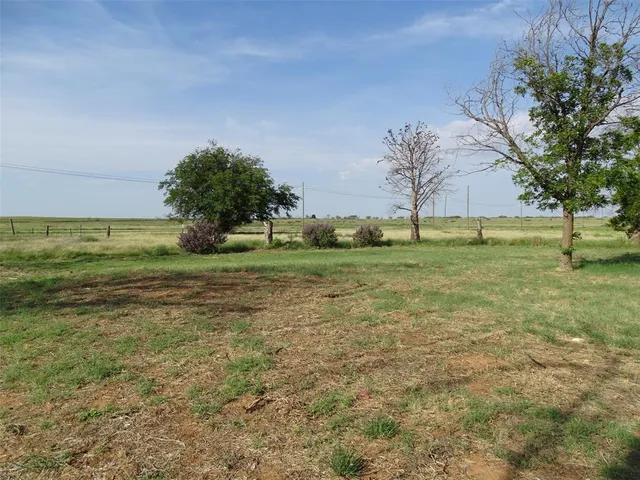 a big yard with lots of green space and trees