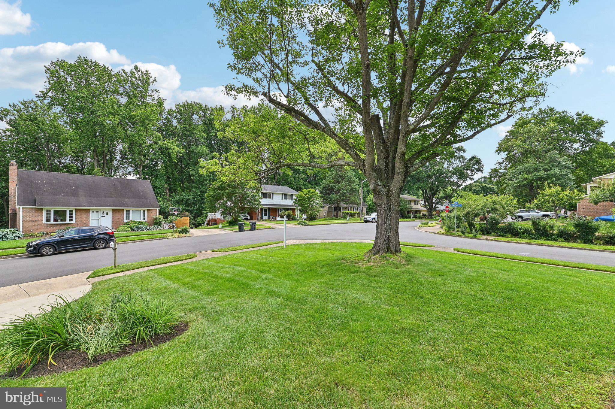 10176 Wavell Road Fairfax, VA 22032 - Photo 28 of 42 Exterior Front yard