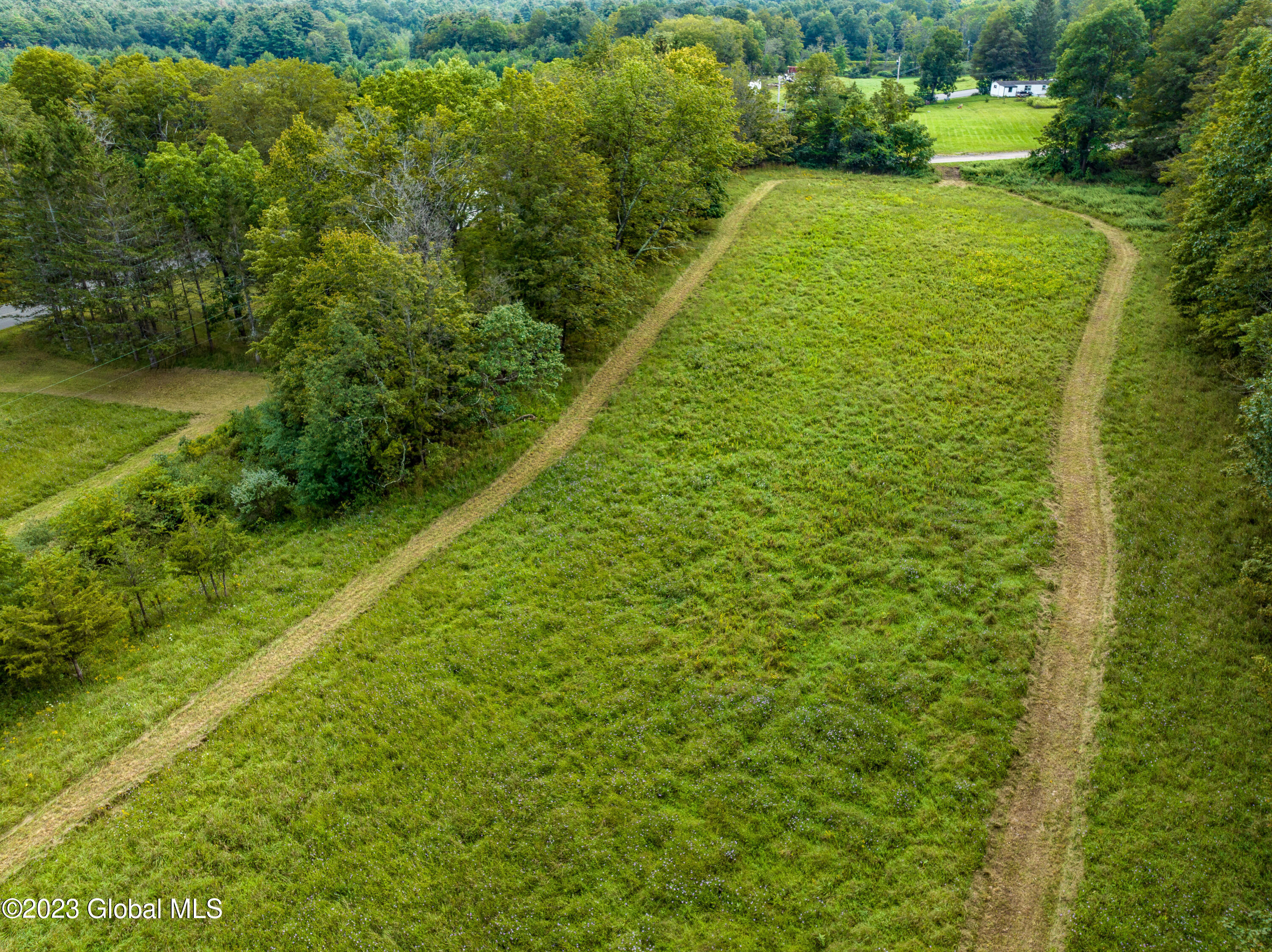 1423 Rudolph Weir Jr Road Cairo, NY 12058 - Photo 29 of 31 DJI_0599
