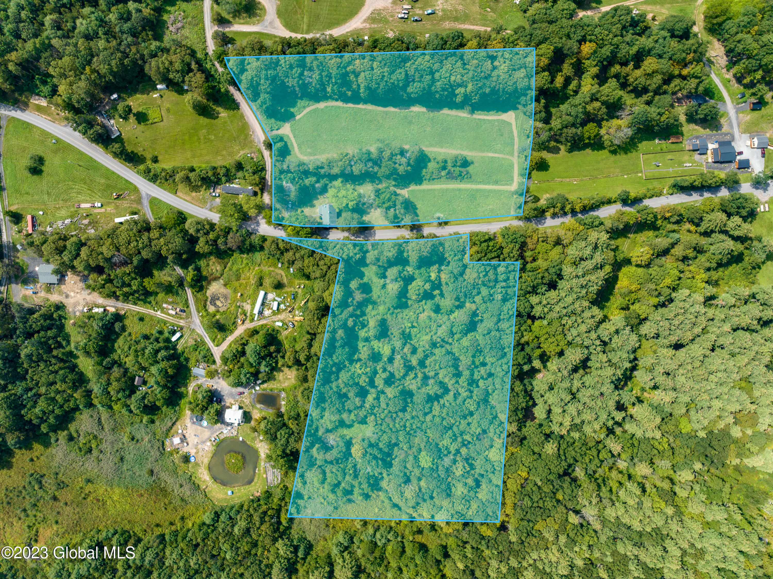 1423 Rudolph Weir Jr Road Cairo, NY 12058 - Photo 31 of 31 DJI_0594-Edit