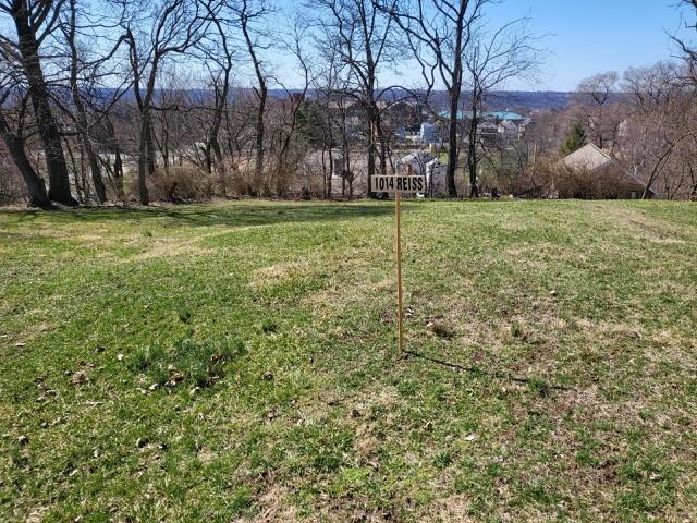 1014 Reiss Street Pittsburgh, PA 15212 - Photo 3 of 10 a view of a field with trees in the background