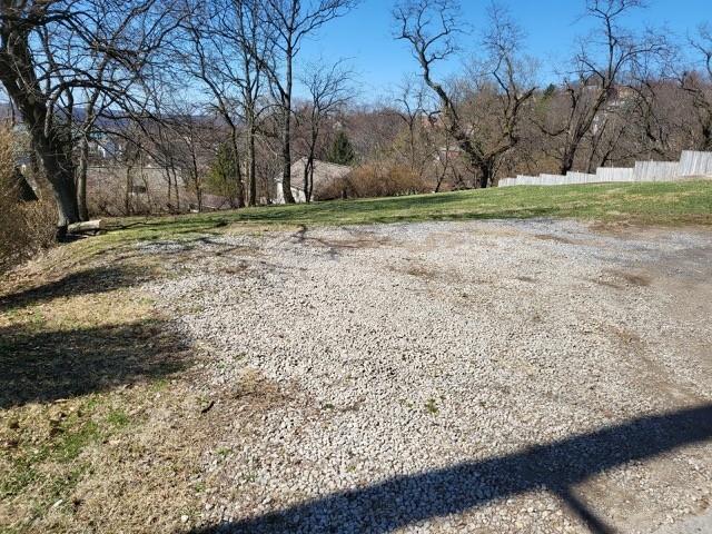 1014 Reiss Street Pittsburgh, PA 15212 - Photo 4 of 10 a view of a backyard with large trees