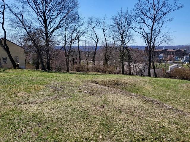 1014 Reiss Street Pittsburgh, PA 15212 - Photo 8 of 10 a view of a field with trees in the background