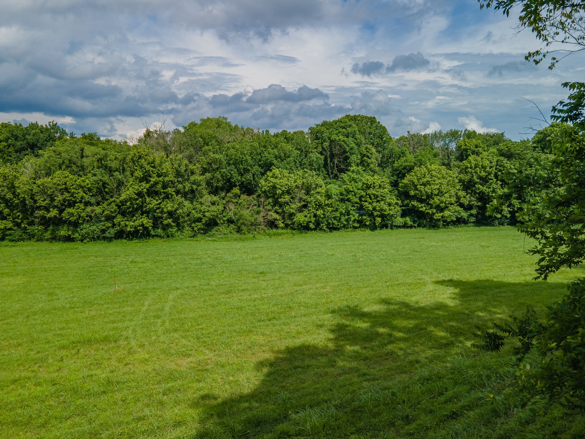 2 Old Zion Road Columbia, TN 38401 - Photo 5 of 7 a view of a grassy field with an trees