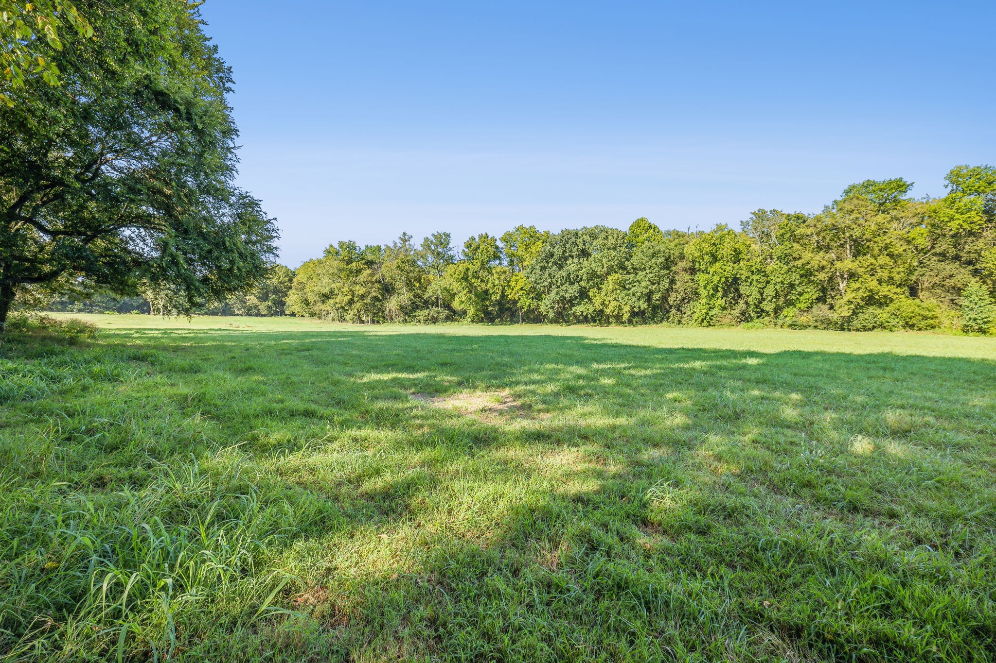 2 Old Zion Road Columbia, TN 38401 - Photo 6 of 7 a backyard of a house with lots of green space