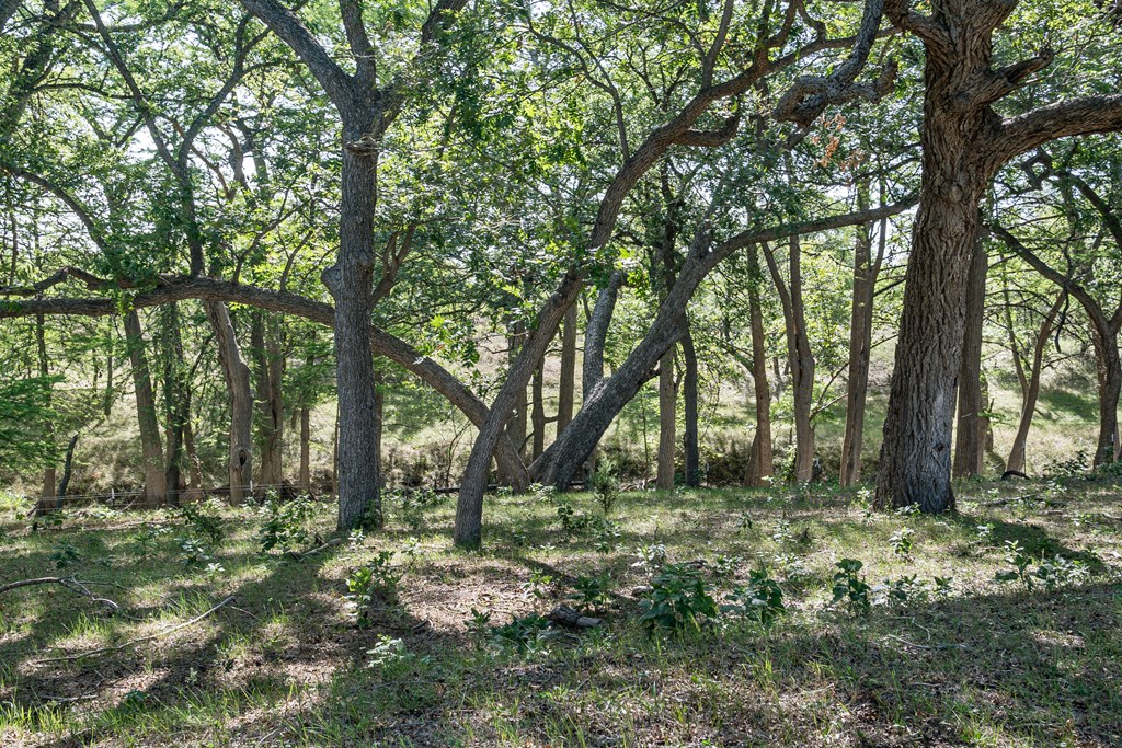 535 China Street Center Point, TX 78010 - Photo 19 of 28