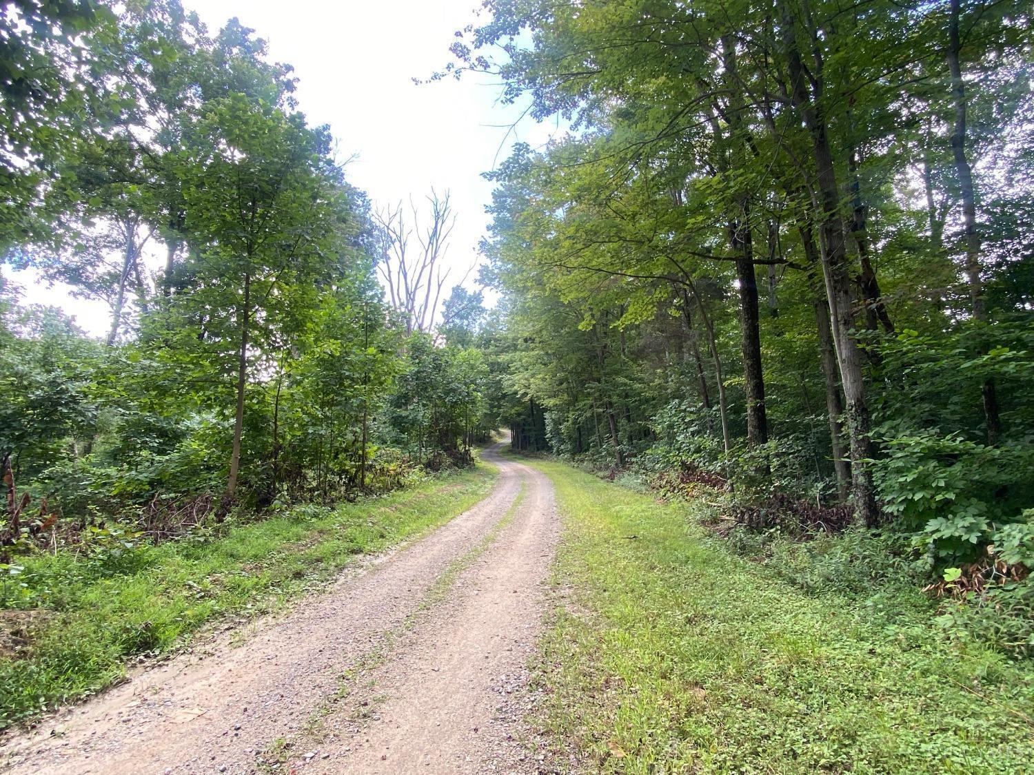 4345 Mt Unger Road Otway, OH 45657 - Photo 8 of 9