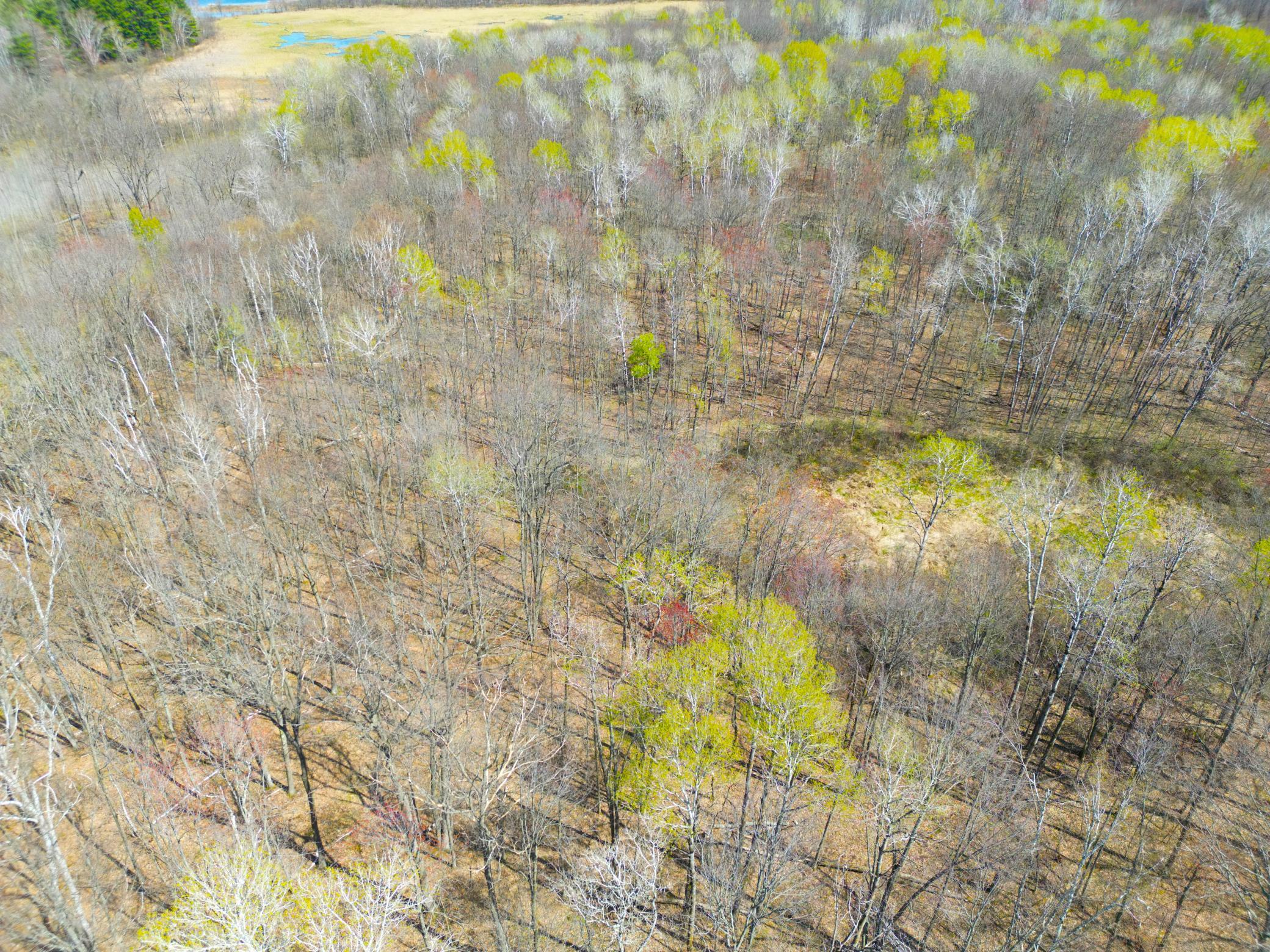 Xxx McGrew Road Isle, MN 56342 - Photo 83 of 92