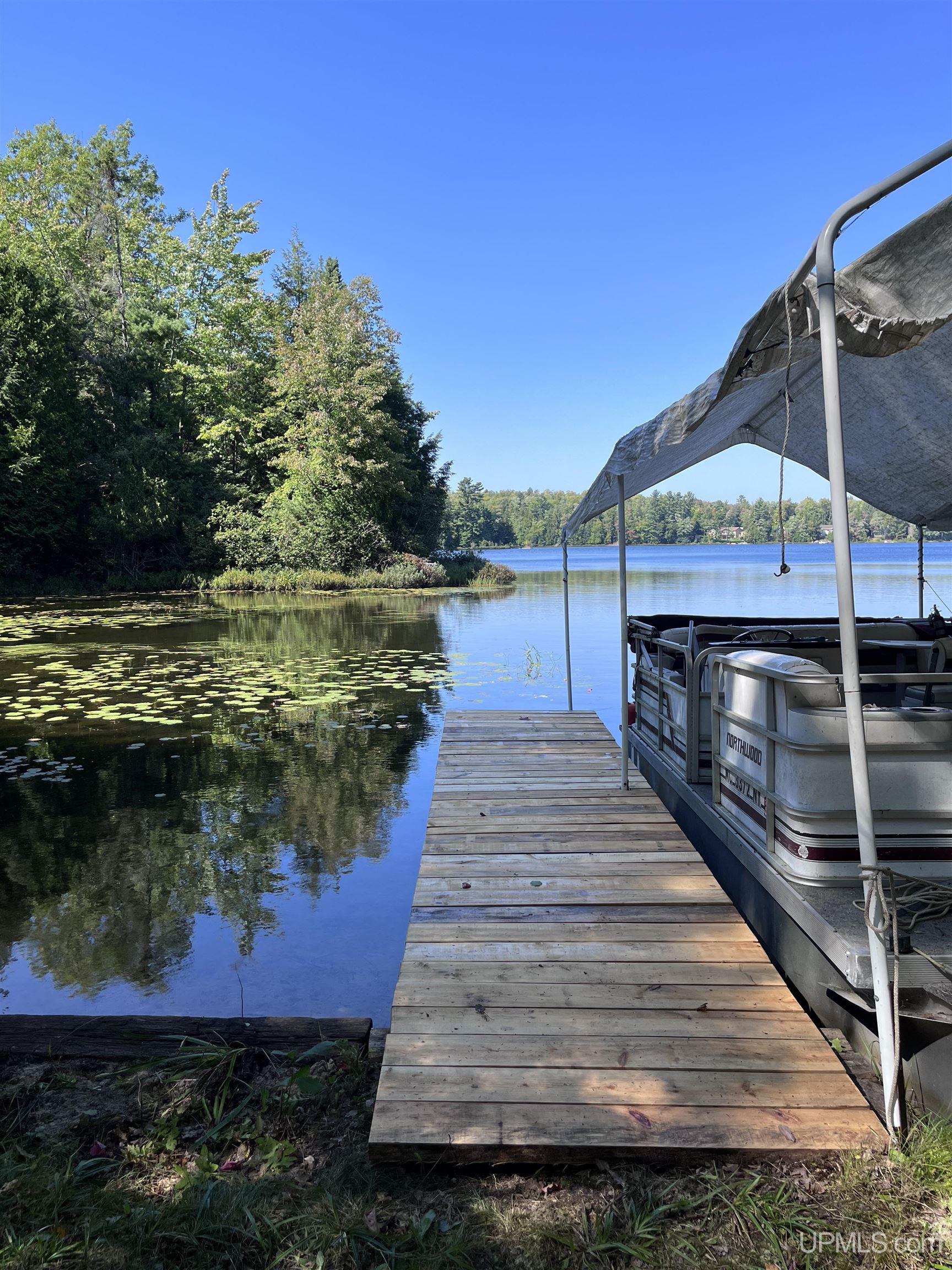 1605 Engman Lake Road Skandia, MI 49885 - Photo 81 of 90