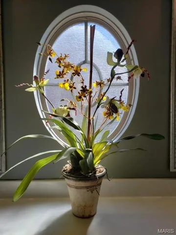 $399,900 | 1515 New Brunswick Drive, Waterloo, IL 62298