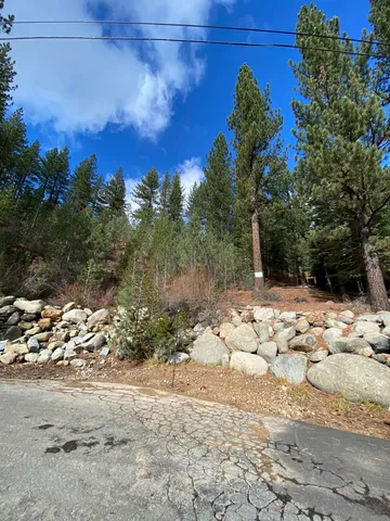 a view of a yard with snow on the road