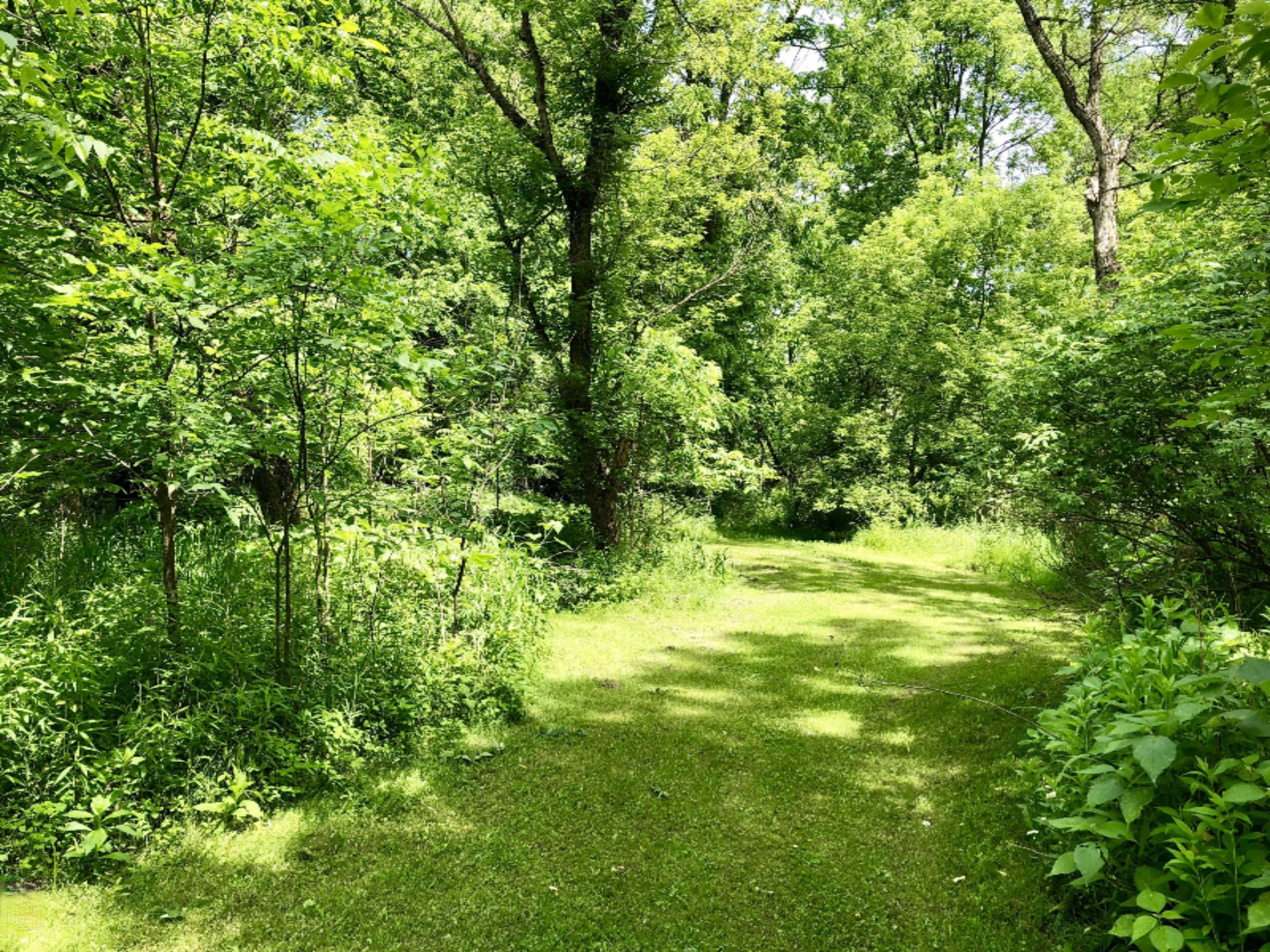 5532 Morrison Lake Road Saranac, MI 48881 - Photo 24 of 32 FF80F560-B307-43EF-B463-E1E2B30020BF
